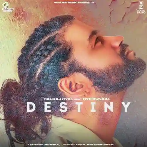 Destiny - Balraj Syal 2022 cover image