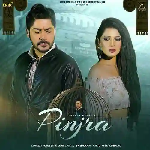 Pinjra - Yasser Desai 2022 cover image
