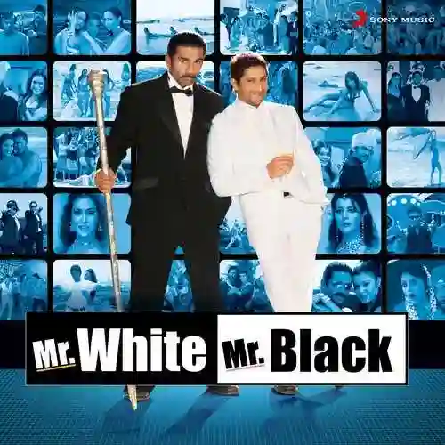 Mr. White Mr. Black 2008 cover image