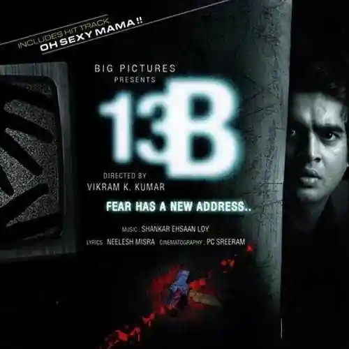 13 B 2009 cover