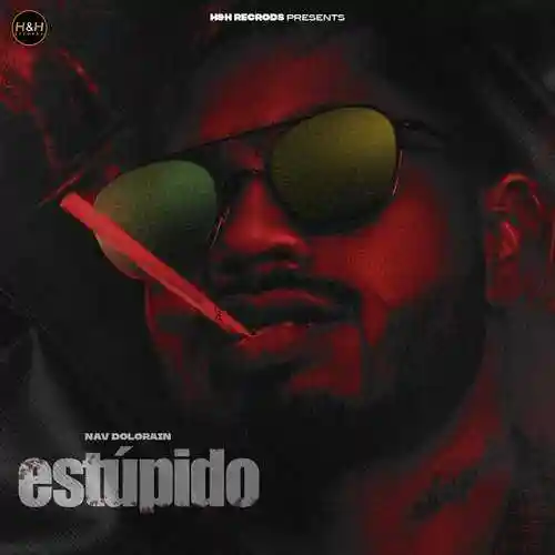 Estupido - Nav Dolorain 2021 cover image