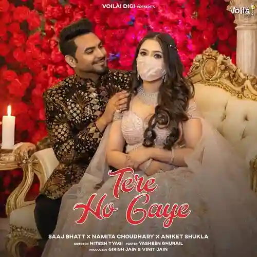 Tere Ho Gaye - Saaj Bhatt 2024 cover image