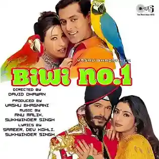 Biwi No. 1 1999 cover image