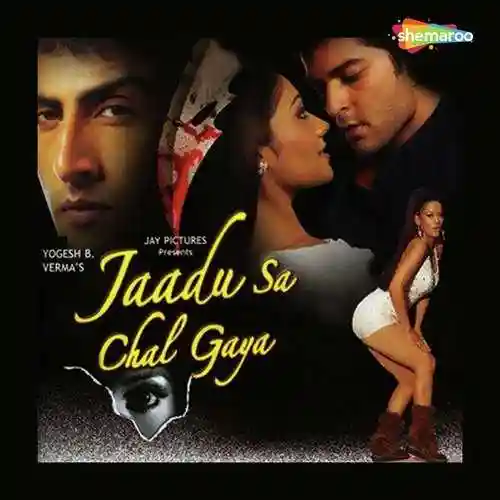 Jaadu Sa Chal Gaya 2006 cover image