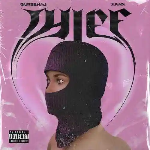 Thief - Gursehaj cover image