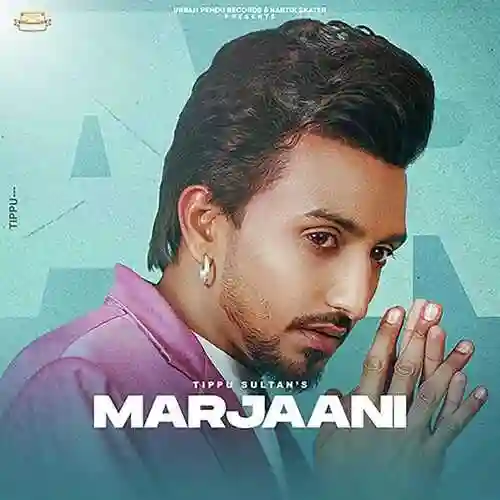 Marjaani - Tippu Sultan cover image