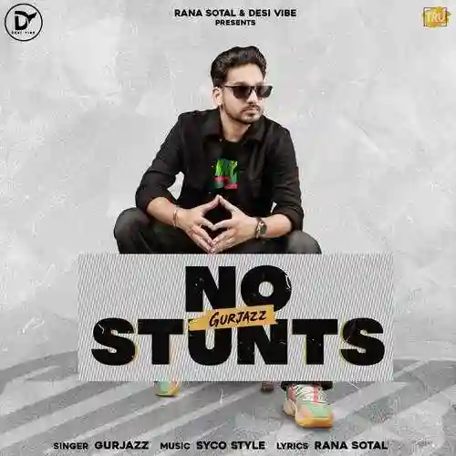 No Stunts - Gurjazz cover image