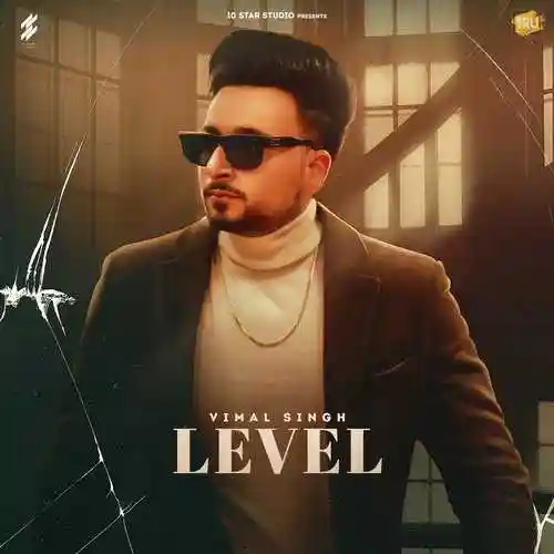 Level - Vimal Singh 2022 cover image