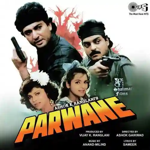 Parwane 1993 cover image