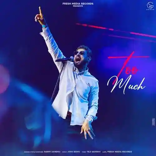 Too Much - Garry Sandhu cover image