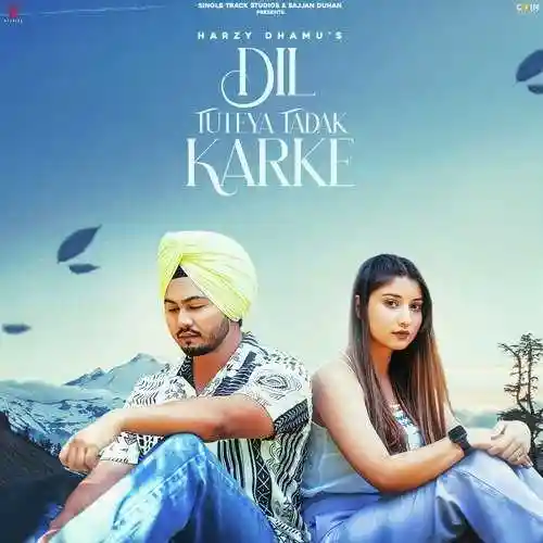 Dil Tuteya Tadak Karke - Harzy Dhamu 2022 cover image
