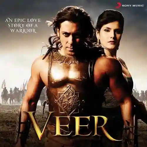 Veer 2010 cover image