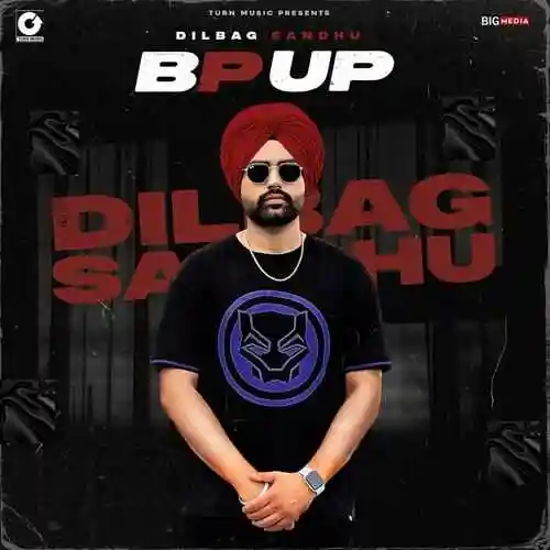 Bp Up - Dilbag Sandhu cover image