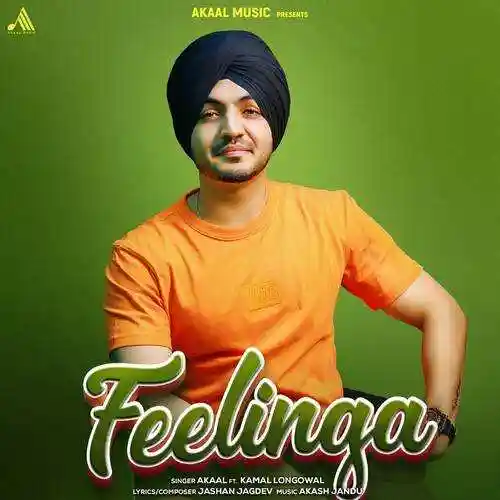 Feelinga - Akaal 2022 cover image
