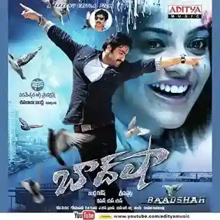 Baadshah 2013 cover image