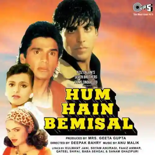 Hum Hain Bemisal 1994 cover image