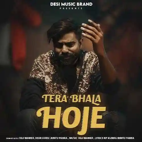 Tera Bhala Hoje - Raj Mawer 2024 cover image