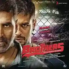 Brothers 2015 cover image