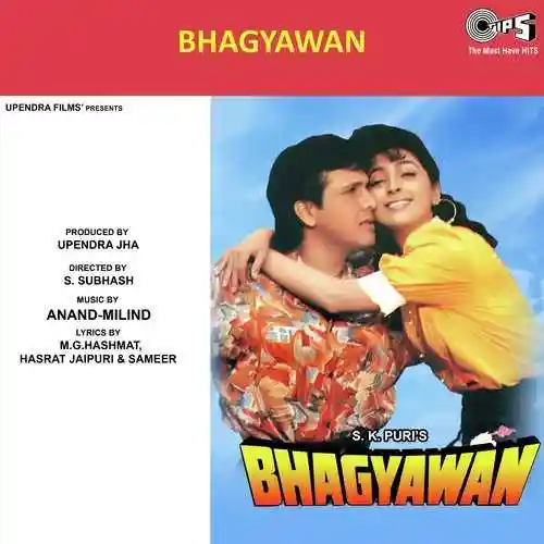 Bhagyawan 1993 cover image