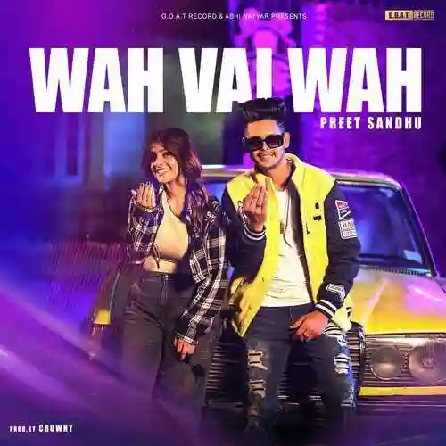 Wah Vai Wah - Preet Sandhu cover image