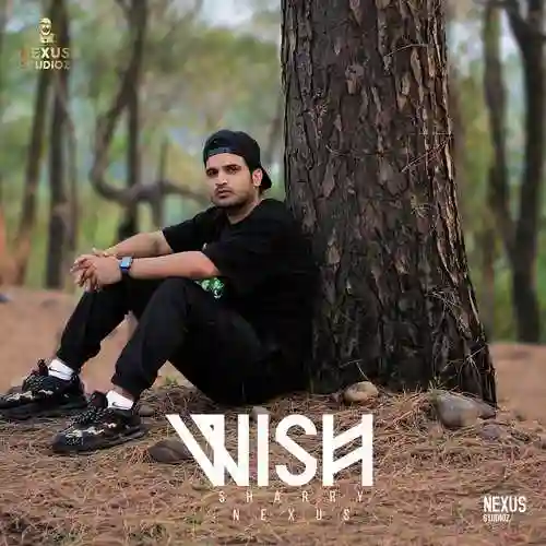 Wish - Sharry Nexus cover image
