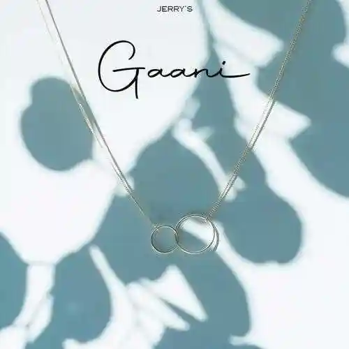 Gaani - Jerry 2022 cover image