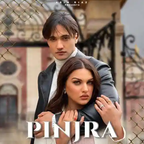 Pinjra - Asim Riaz cover image