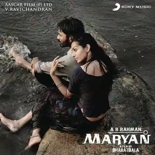 Maryan 2013 cover image