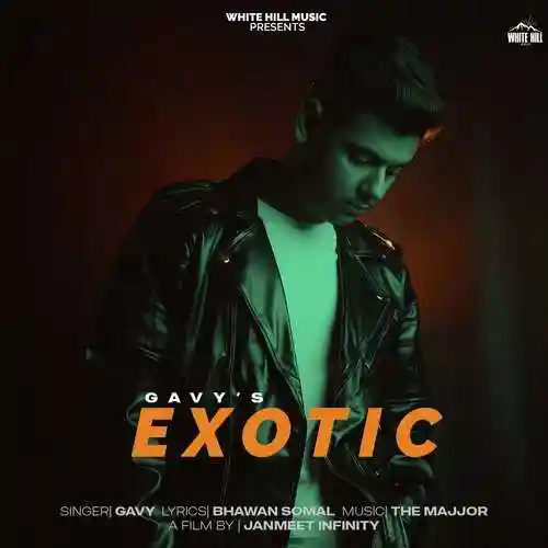 Exotic - Gavy 2021 cover image