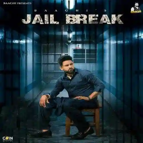 Prisoners - Baaghi 2024 cover image