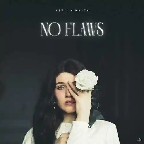 No Flaws - Nagii 2024 cover image