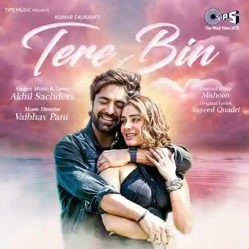 Tere Bin - Akhil Sachdeva 2024 cover image