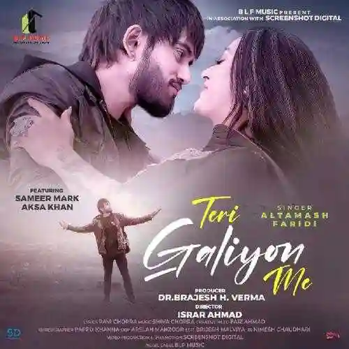 Teri Galiyon Me - Altamash Faridi cover image