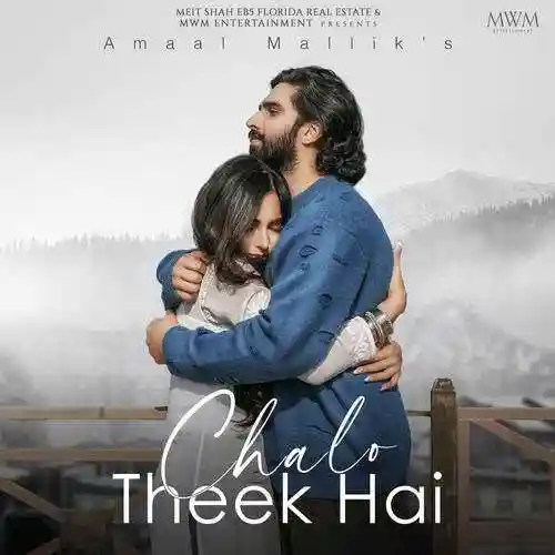 Chalo Theek Hai - Amaal Mallik 2022 cover image