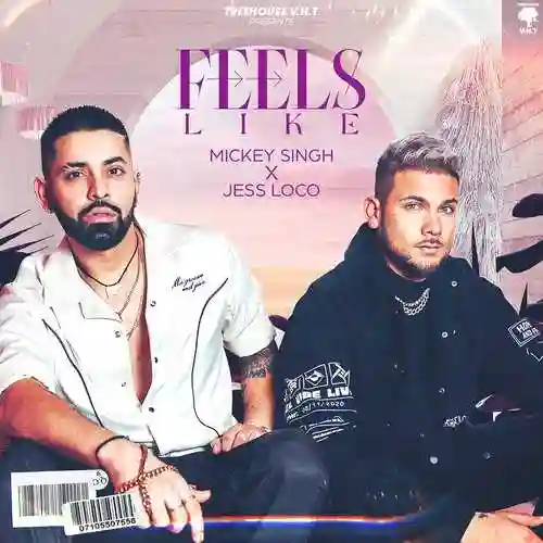 Feels Like - Mickey Singh 2022 cover image