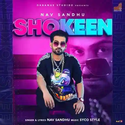 Shokeen - Nav Sandhu cover image