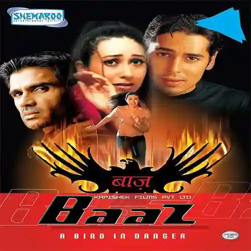 Baaz A Bird in Danger 2003 cover image