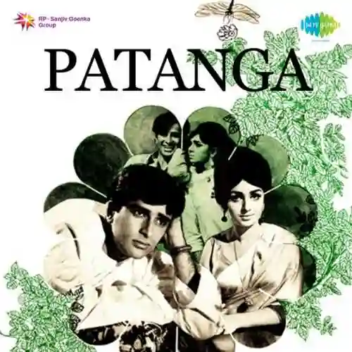 Patanga 1971 cover image