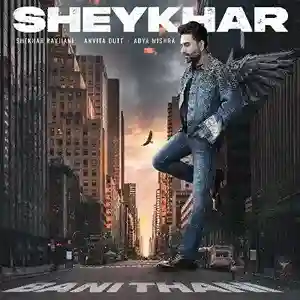 Bani Thani - Shekhar Ravjiani 2024 cover image