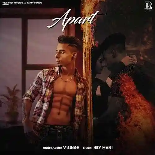Apart - V Singh cover image