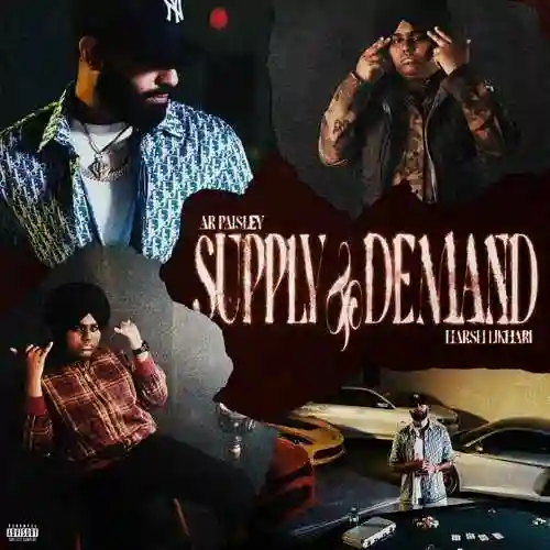 Supply And; Demand - AR Paisley 2024 cover image