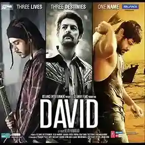 David 2013 cover image