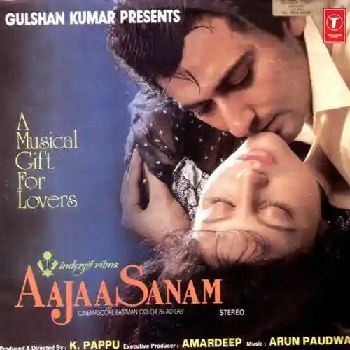 Aajaa Sanam 1994 cover image