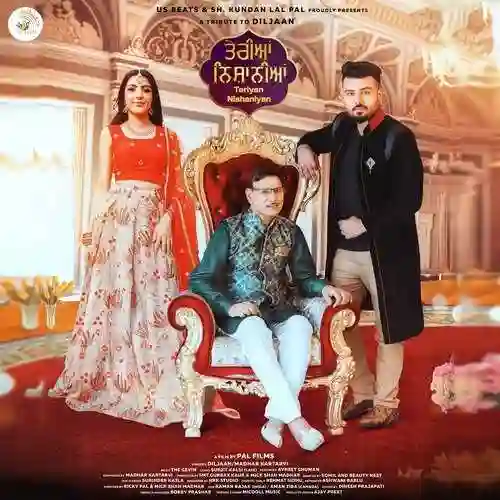 Teriyan Nishaniyan - Diljaan cover image