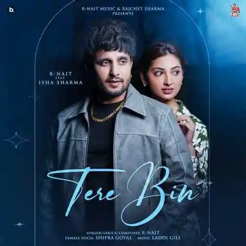 Tere Bin - R Nait 2024 cover image