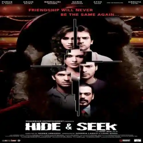Hide & Seek 2010 cover image