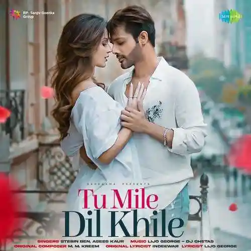 Tu Mile Dil Khile - Asees Kaur 2023 cover image