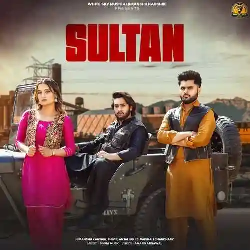 Sultan (feat. Vaishali Chaudhary) - Himanshu Kaushik 2024 cover image