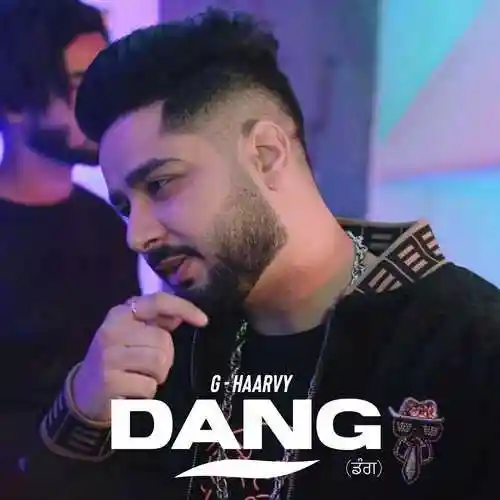 DANG - G Haarvy 2022 cover image