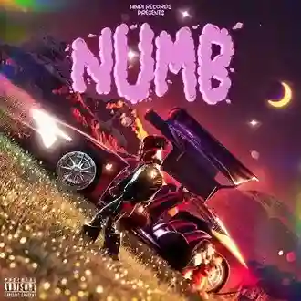 Numb - MC STAN 2024 cover image